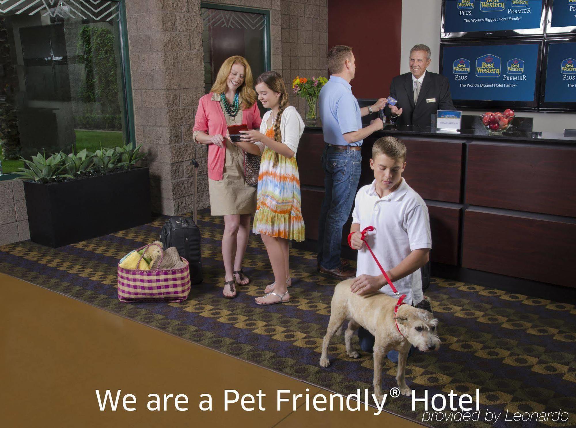 Best Western Plus Lytle Inn And Suites Exteriér fotografie